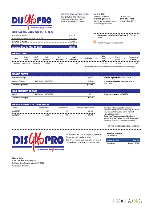 Modèle de facture de services publics de gaz Disgaspro en Équateur aux formats Word et PDF